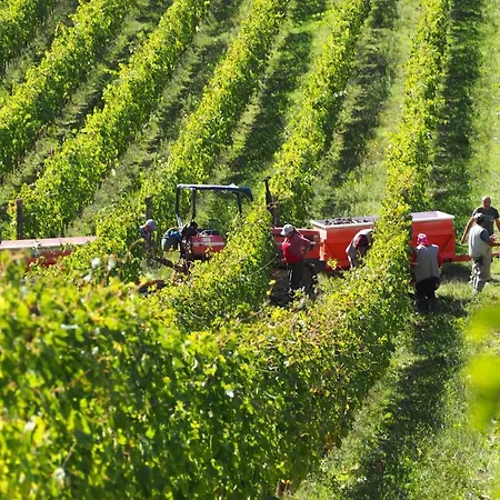 住宿加早餐酒店 Borgo La Torre Alle Tolfe